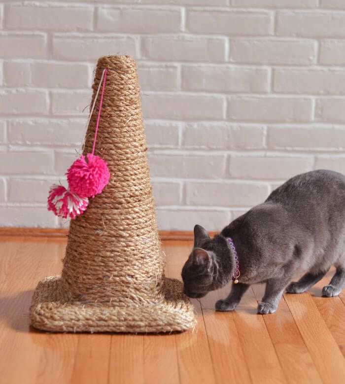 Juguete para gato
