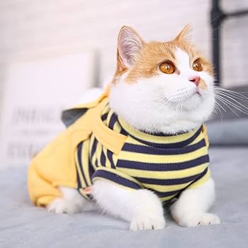Ropa para gatos